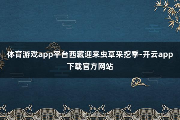 体育游戏app平台西藏迎来虫草采挖季-开云app下载官方网站