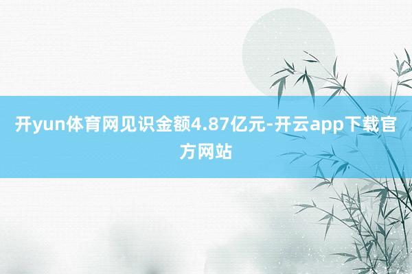 开yun体育网见识金额4.87亿元-开云app下载官方网站