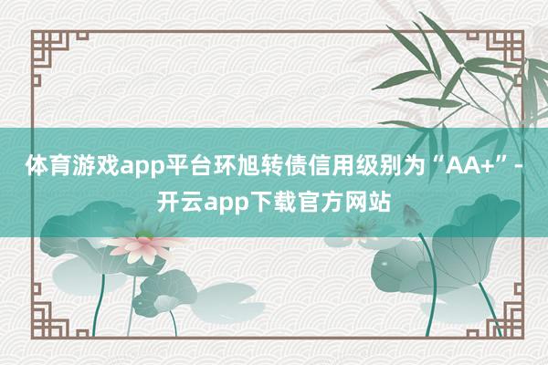 体育游戏app平台环旭转债信用级别为“AA+”-开云app下载官方网站