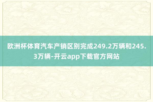 欧洲杯体育汽车产销区别完成249.2万辆和245.3万辆-开云app下载官方网站