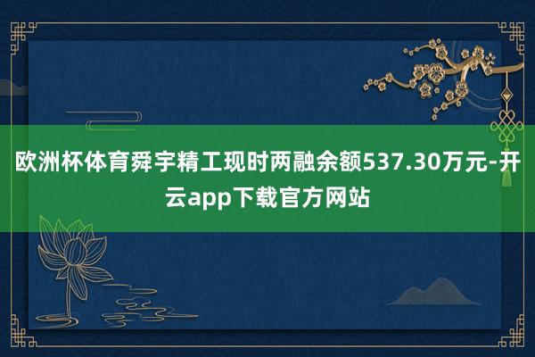 欧洲杯体育舜宇精工现时两融余额537.30万元-开云app下载官方网站