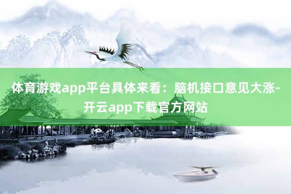 体育游戏app平台具体来看：脑机接口意见大涨-开云app下载官方网站