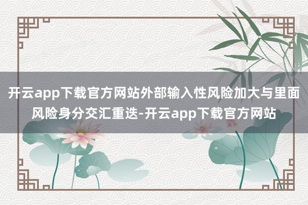 开云app下载官方网站外部输入性风险加大与里面风险身分交汇重迭-开云app下载官方网站